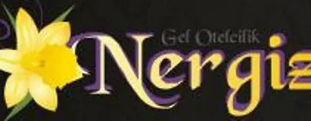 Hotel Nergiz 4*