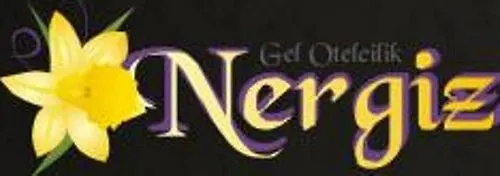 ホテル Nergiz 4*